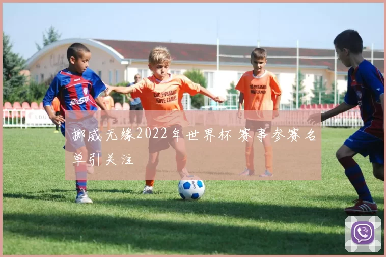 挪威无缘2022年世界杯 赛事参赛名单引关注
