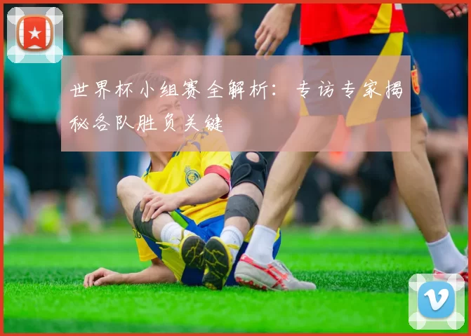 世界杯小组赛全解析:专访专家揭秘各队胜负关键