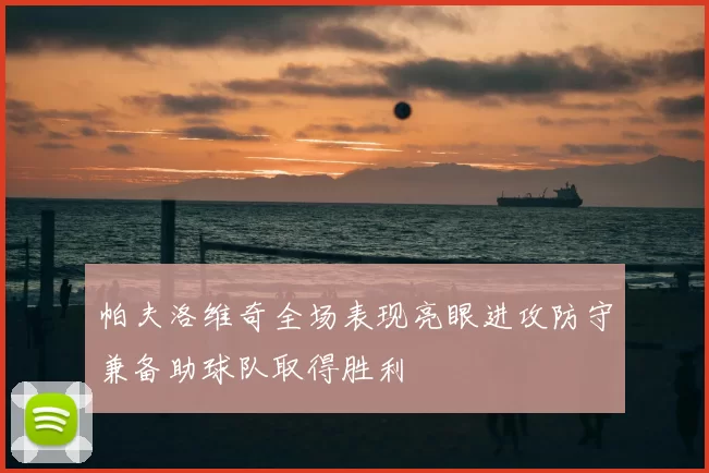 帕夫洛维奇全场表现亮眼进攻防守兼备助球队取得胜利