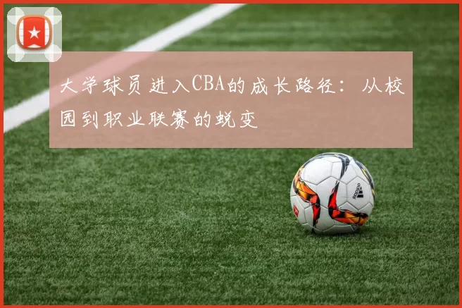 大学球员进入CBA的成长路径：从校园到职业联赛的蜕变