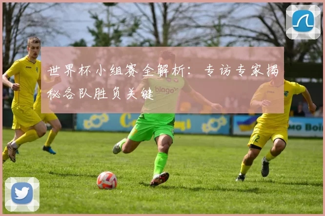 世界杯小组赛全解析：专访专家揭秘各队胜负关键