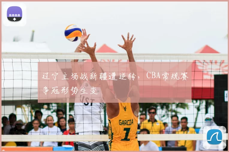 辽宁主场战新疆遭逆转，CBA常规赛争冠形势生变