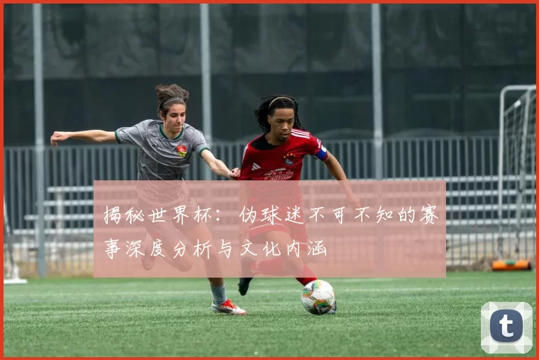 揭秘世界杯：伪球迷不可不知的赛事深度分析与文化内涵