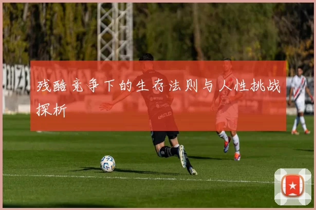 残酷竞争下的生存法则与人性挑战探析
