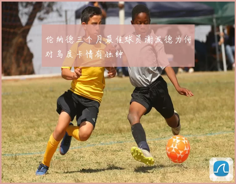伦纳德三个月最佳球员谢泼德为何对乌度卡情有独钟