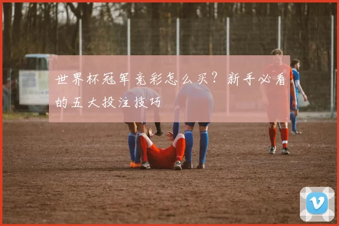 世界杯冠军竞彩怎么买?新手必看的五大投注技巧