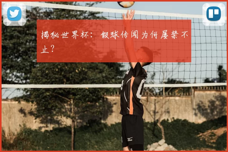 揭秘世界杯：假球传闻为何屡禁不止？