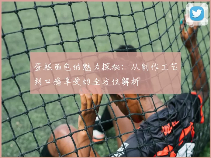 蛋糕面包的魅力探秘：从制作工艺到口感享受的全方位解析