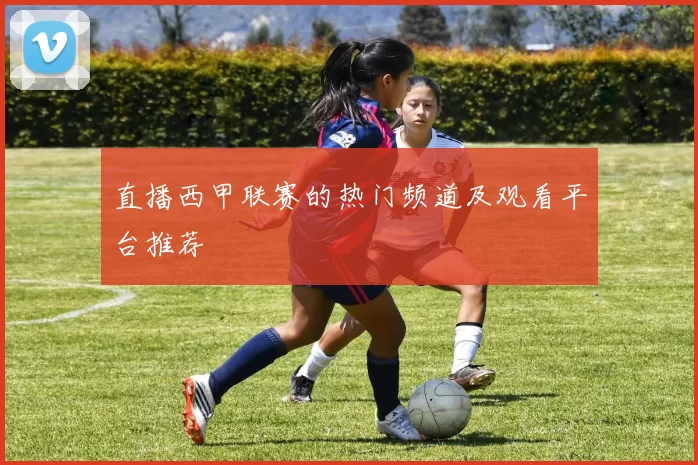 直播西甲联赛的热门频道及观看平台推荐