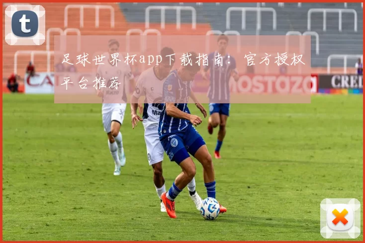 足球世界杯app下载指南：官方授权平台推荐