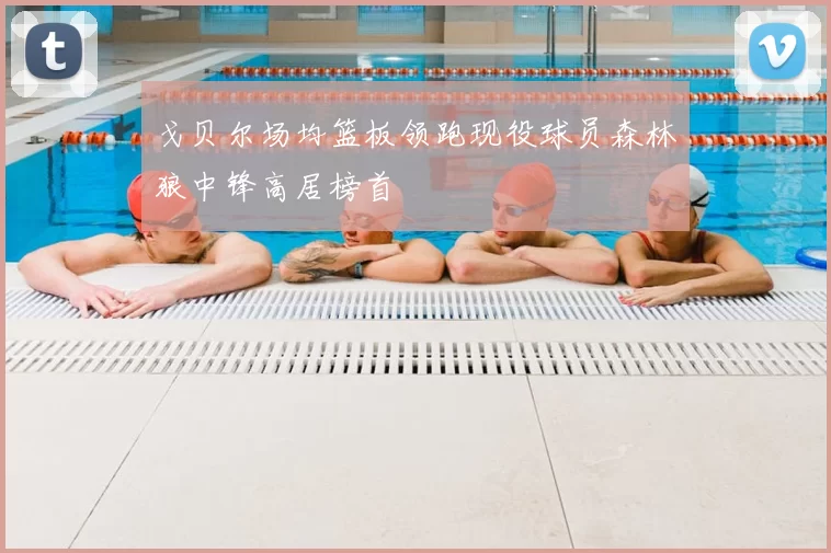 戈贝尔场均篮板领跑现役球员森林狼中锋高居榜首