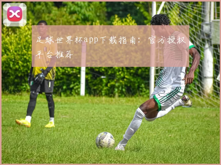 足球世界杯app下载指南：官方授权平台推荐