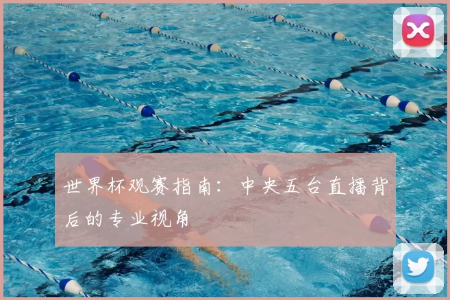 世界杯观赛指南：中央五台直播背后的专业视角